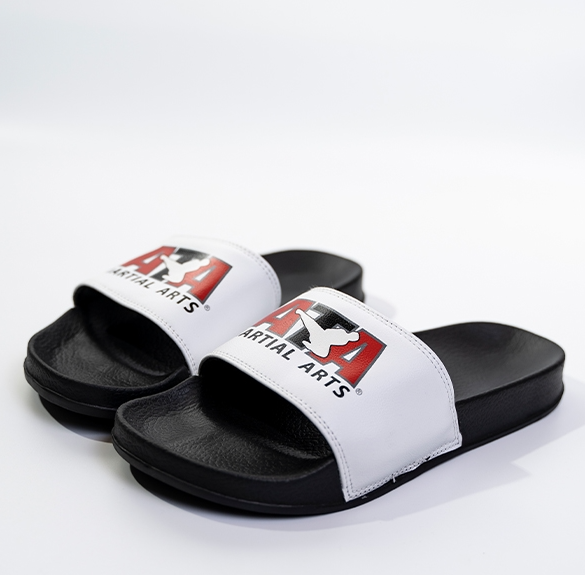 ATA Slides - Image 2