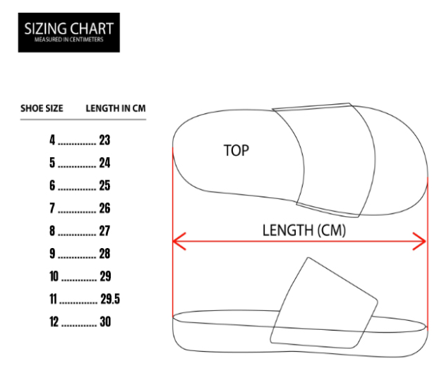 ATA Slides - Image 3