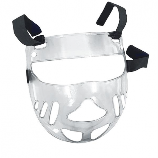 Face Shield
