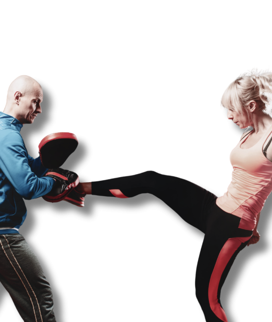Kickboxing 2